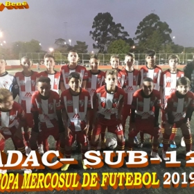 COPA MERCOSUL 2019