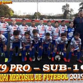 COPA MERCOSUL 2019