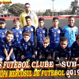 COPA MERCOSUL 2019