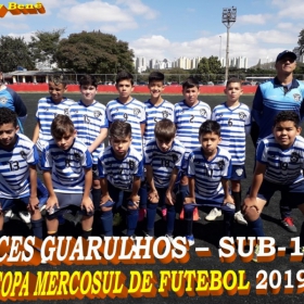 COPA MERCOSUL 2019