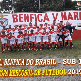 COPA MERCOSUL 2019