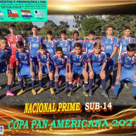 COPA PAN-AMERICANA 2021