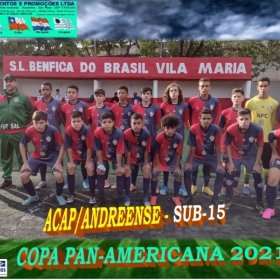 COPA PAN-AMERICANA 2021