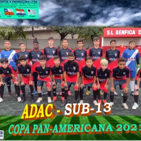 COPA PAN-AMERICANA 2021