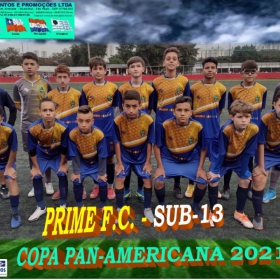 COPA PAN-AMERICANA 2021