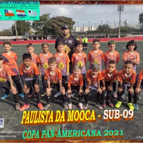 COPA PAN-AMERICANA 2021