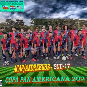 COPA PAN-AMERICANA 2021