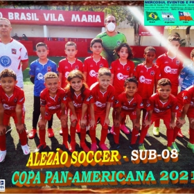 COPA PAN-AMERICANA 2021