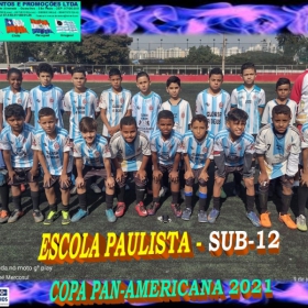 COPA PAN-AMERICANA 2021