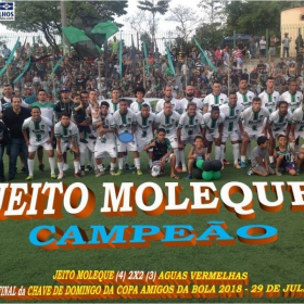 JEITO MOLEQUE CAMPEÃO DA CHAVE DE DOMINGO DA COPA AMIGOS DA BOLA