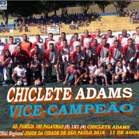 CHICLETE ADAMS É VICE-CAMPEÃO DO JOGOS DA CIDADE DE SÃO PAULO